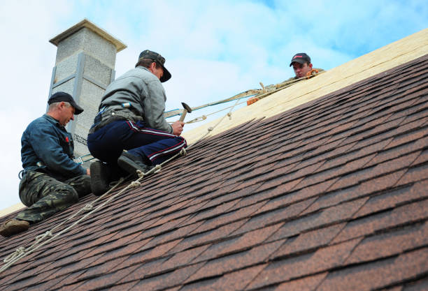 Quick and Trustworthy Emergency Roof Repair Services in Pioneer, CA